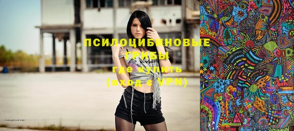 стаф Краснослободск