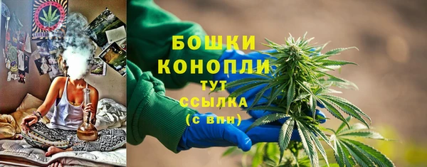 гидра Красноперекопск