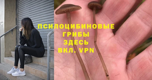 твердый Краснотурьинск