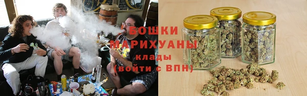 стаф Краснослободск