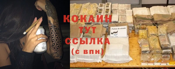 стаф Краснослободск
