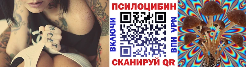 ссылка на мегу зеркало  где купить наркоту  Мостовской  Псилоцибиновые грибы мицелий 